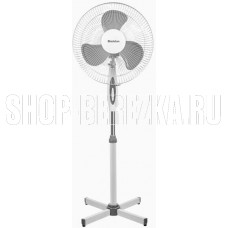 BLACKTON Bt F1115 White