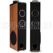 ELTRONIC (30-49 бук) HOME SOUND - колонки 10