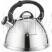 ZEIDAN Z-4497 Чайник со свистком
