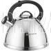 ZEIDAN Z-4497 Чайник со свистком