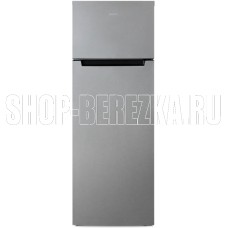 БИРЮСА C6135 300л серебристый металлопласт