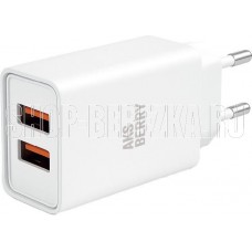 AKSBERRY (6900209800019) T38 2 USB 2.4A, белый
