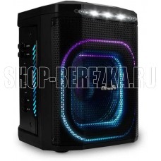 ELTRONIC (30-80) DANCE BOX 550 - колонка 08