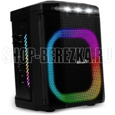 ELTRONIC (30-81) DANCE BOX 550 - колонка 08