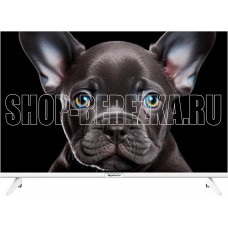 TOPDEVICE TDTV24CS08H_WE HD белый