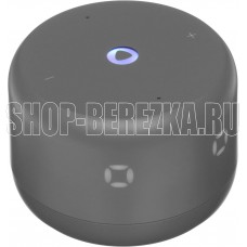 ЯНДЕКС Станция Лайт 2 на YaGPT, модель YNDX-00026 (серый)