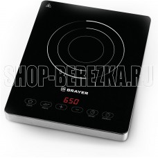 BRAYER BR2810 BRAYER BR2810