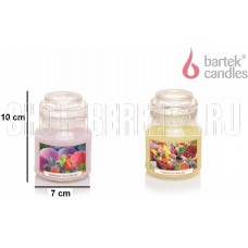 BARTEK Фруктовый (FRUITFUL) 130гр в баночке