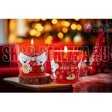 BARTEK Зимний Плюшевый мишка (Winter Teddy Bear) 115гр в стакане