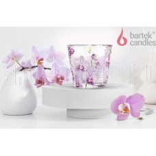 BARTEK Орхидея Фаленопсис (Orchid Phalaenopsis) 115гр в стакане