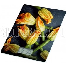 HOMESTAR HS-3015В, 7 кг (110057)