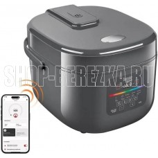 REDMOND MC-100S, серый