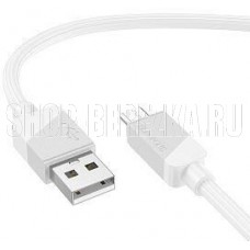 BOROFONE (6941991114052) BX107m , для micro USB , 1 м White