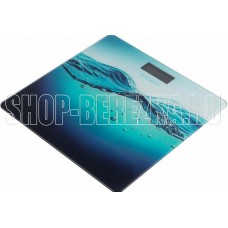 ENERGY EN-422C USB (стеклянная поверхность, 180 кг) (110022)
