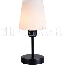 ESCADA 120004/1T E27*60W Black