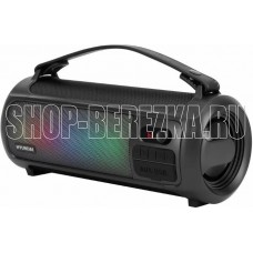 HYUNDAI H-PS1025 черный 40W 2.0 BT 10м 3000mAh