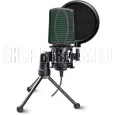 RITMIX RDM-126 черный/зеленый