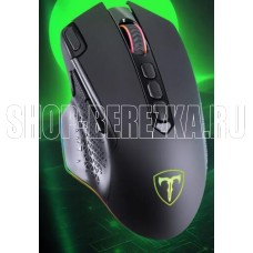 T (72370) Alpha черый