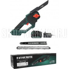 FAVOURITE OBS 21 TG8