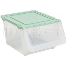 VIOLET Контейнер для овощей 11л (прозрачный/нефрит) 461146