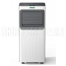 AC ELECTRIC Diona ACE-09 TR/N6