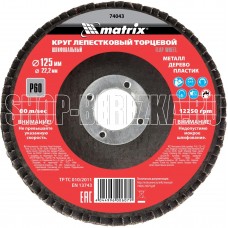 MATRIX Круг лепестковый торцевой, P 60, 125 х 22,2 мм//