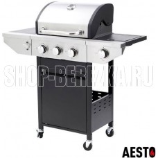 AESTO 11107