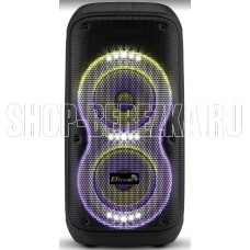 ELTRONIC 06