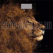 ДОБРЫНЯ DO-3006L
