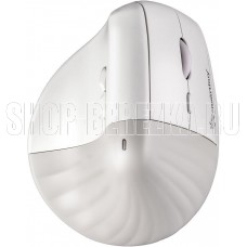 SMARTBUY SBM30DV бело-серый