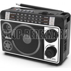RITMIX RPR-171