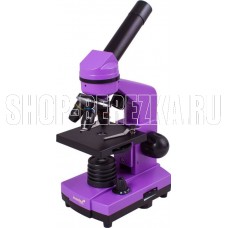 LEVENHUK RAINBOW 2L AMETHYST/Аметист